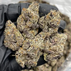 biscotti pancakes strain, biscotti pancake strain, biscotti pancakes strain leafly, jelly biscotti pancakes strain, biscotti,biscotti pancakes strain​